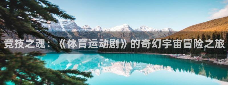 哈哈体育十年
