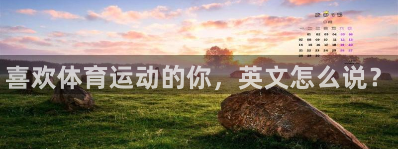 哈哈体育下载