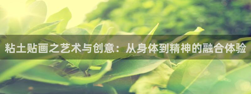 哈哈体育十年