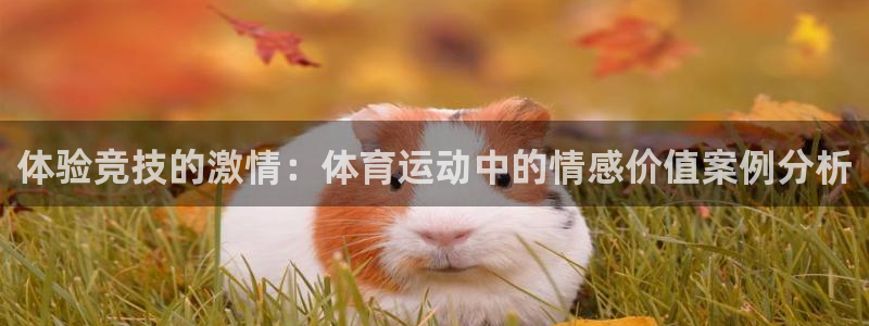 哈哈体育