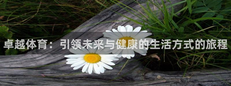 哈哈体育下载