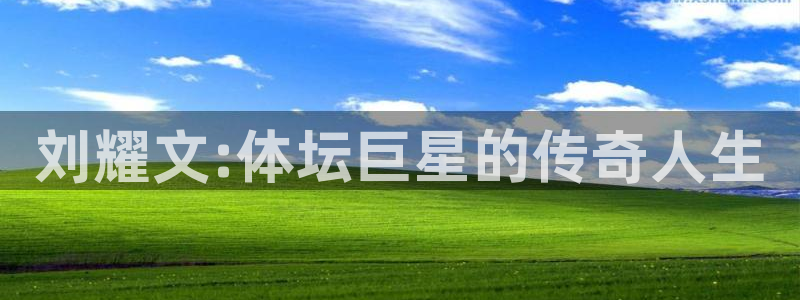 哈哈体育下载：刘耀文:体坛巨星的传奇人生