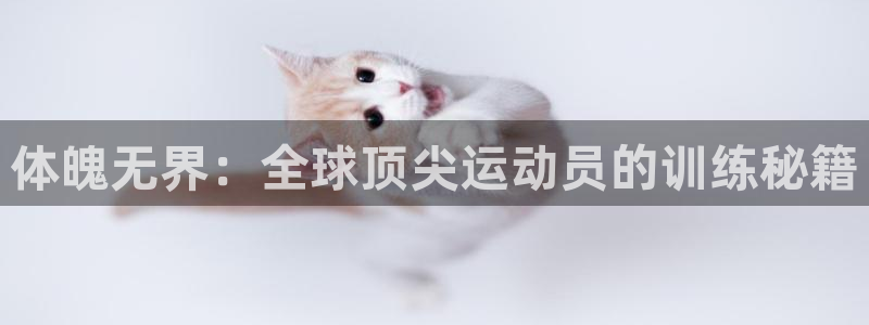 哈哈体育下载：体魄无界：全球顶尖运动员的训练秘籍